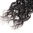 Prolongements de cheveux de vague d'eau/armure de trame indiens de cheveux pour des femmes de couleur