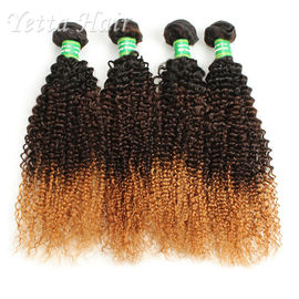 Cheveux brésiliens bouclés frisés trois Tone Dyeable de Vierge de 100g 7A
